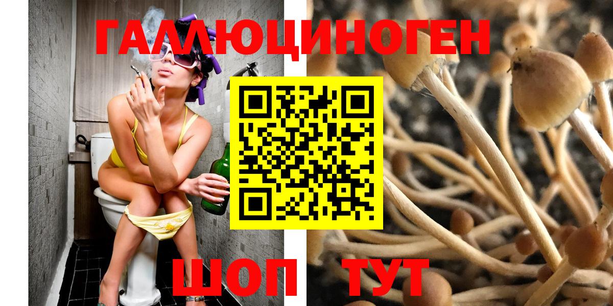 Галлюциногенные грибы Psilocybine cubensis  Вход с VPN  Гусиноозёрск 